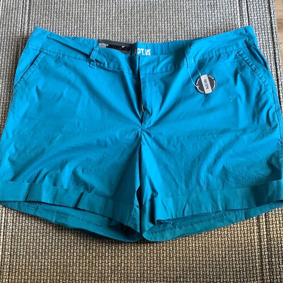 Apt. 9 Pants - Apt 9 Woman’s Plus size 24w Teal color Shorts NWT